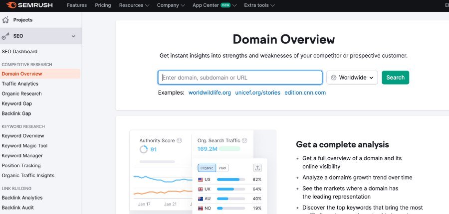 Semrush Domain Overview Feature